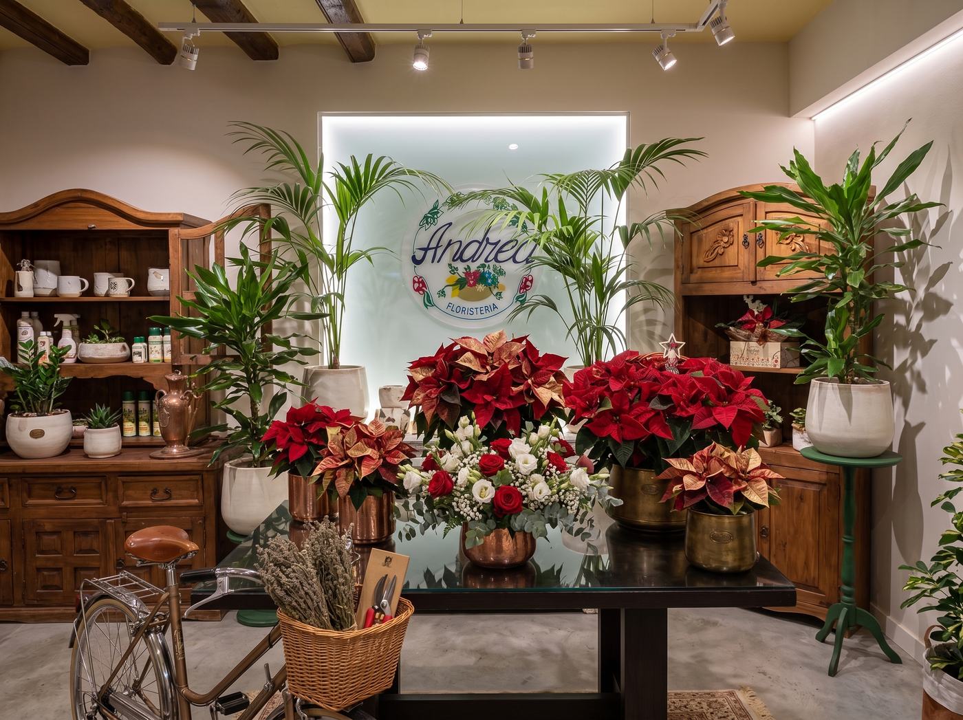 Interior de Floristería Andrea en Salamanca